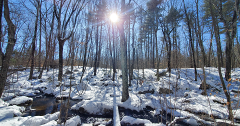 The Stunning Landscape In Rhode Island That Appears As Though It Was Ripped From A Painting