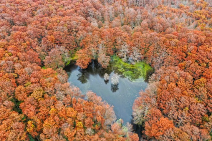 stunning Arkansas landscap