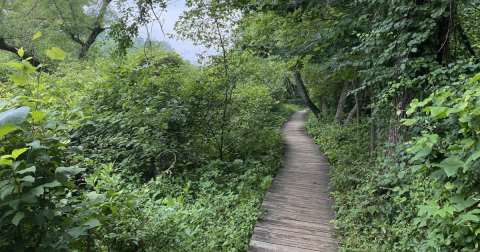 This Little-Known Trail Is Quite Possibly The Best Walking & Hiking Path In Pennsylvania