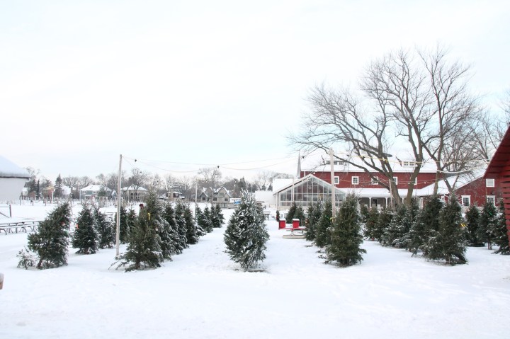 historic dairy farm in Glenview, Illinois