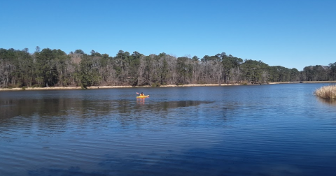 This Is Little-Known Lake Is Perfect For Easy Canoeing In Louisiana