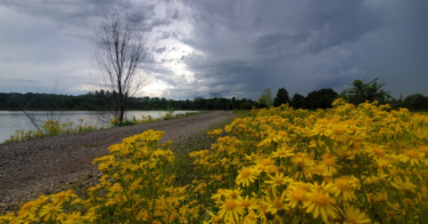 Discover Multiple Lakes In This Picturesque Local Park In Missouri