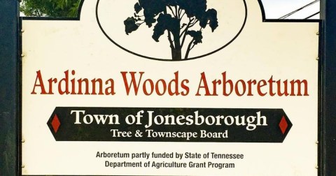 Explore A Little-Known Arboretum In This Small Tennessee Country Town