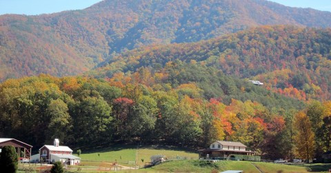 The Under-The-Radar Scenic Drive In Tennessee That Showcases The Great Smoky Mountains