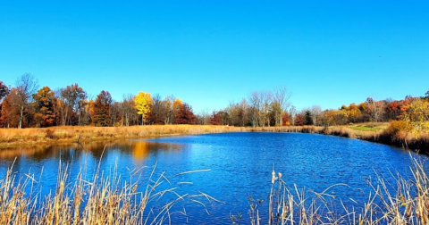 Explore This Secret Trail Around An Old Quarry Site Near Cleveland