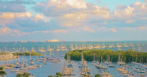 The Stunning Landscape In Florida That Appears As Though It Was Ripped From A Claude Monet Painting