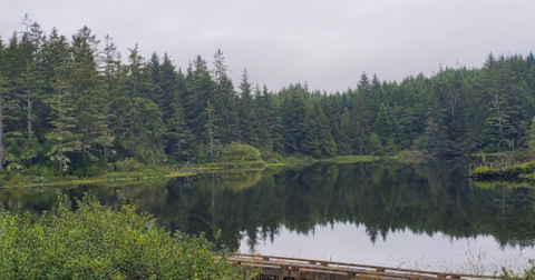 This Little-Known Lake Is Perfect For Easy Fishing, Kayaking, Canoeing, And Bird Watching In Washington