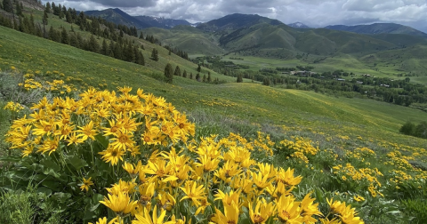 The Stunning Landscape In Idaho That Appears As Though It Was Ripped From A Painting