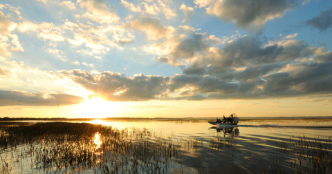 This Is Little-Known Lake Is Perfect For Easy Fishing, Kayaking, Canoeing, And Bird Watching In Florida