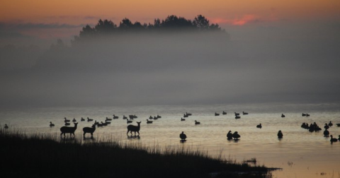 The Stunning Landscape In Virginia That Appears As Though It Was Ripped From A Monet Painting