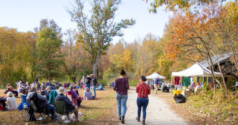 Explore A Little-Known Arboretum In This Small Maryland Country Town