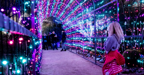 7 Christmas Light Displays In Arizona That Are Pure Holiday Magic