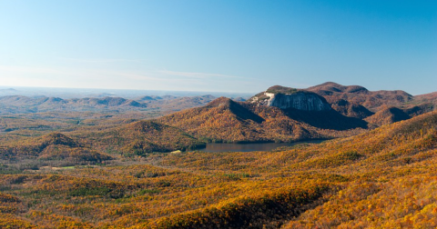 15 Incredible Natural Wonders In South Carolina That Defy Explanation