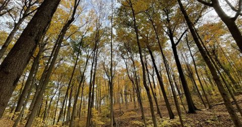 This Little-Known Trail Is Quite Possibly The Best Biking and Walking Path In Indiana