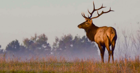 7 Outdoor Winter Adventures To Experience In The Kentucky Wildlands