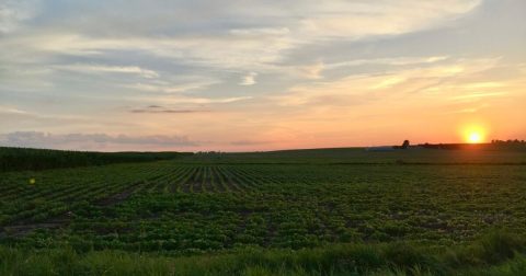 The Stunning Landscape In Illinois That Appears As Though It Was Ripped From A Painting