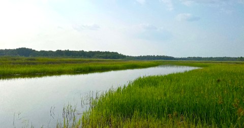 These Little-Known Lakes Are Perfect For Easy Fishing, Kayaking, Canoeing, And Bird Watching In Minnesota