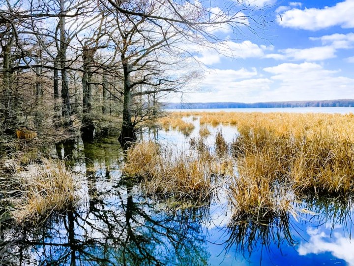 stunning Arkansas landscap