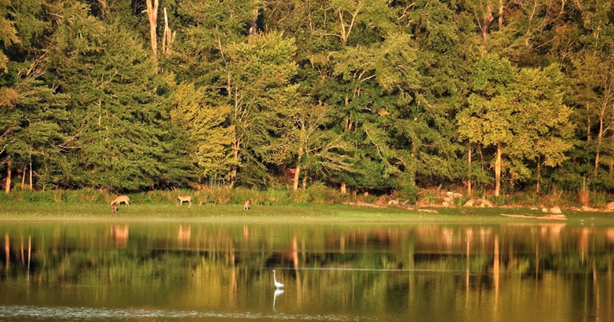 Leeds Stagecoach Route: Scenic Drive In Alabama