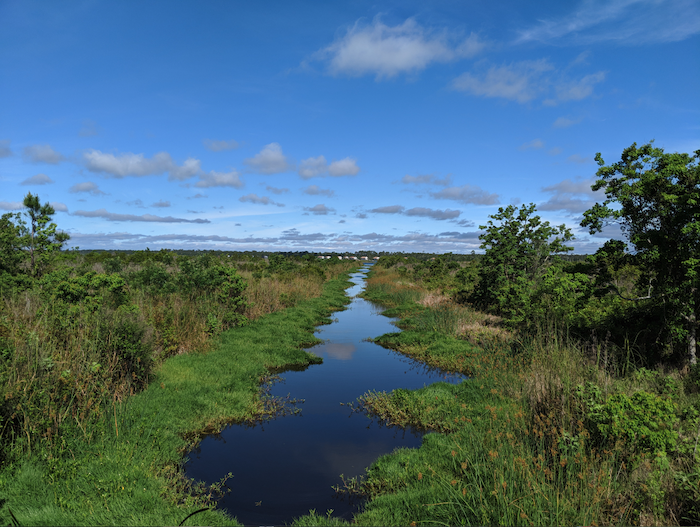 A best hike near Gulf Shores, Alabama, the Gopher Tortoise Trail is perfect for those seeking a flat, paved route with woods and water scenes.