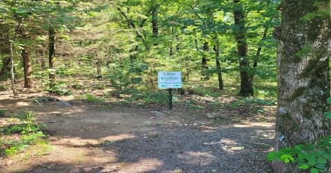 The Hidden Little Brother Loop Trail In Oklahoma Meanders Peacefully Through The Forest