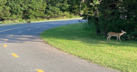 This Little-Known Trail Is Quite Possibly The Best Biking and Walking Path In Oklahoma