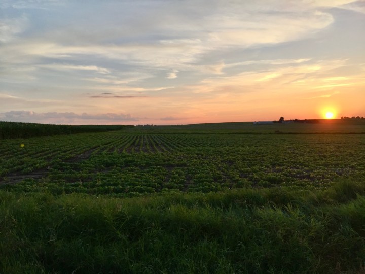 scenic drive through the countryside