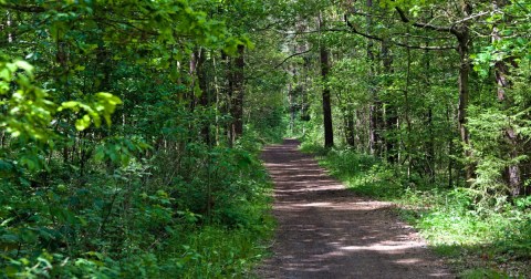 Wisconsin Just Broke Ground On Its First Universally Accessible Park