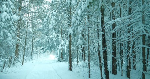 The Snowiest Region In Wisconsin Is Perfect For A Magical Winter Getaway