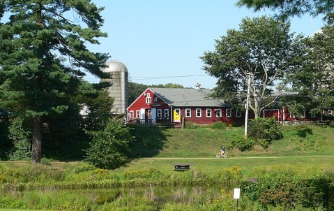 The Underrated State Park In Massachusetts Where You Can See Farm Animals