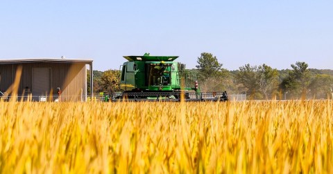 You'd Never Guess That Arkansas Produces More Rice Than Any Other State