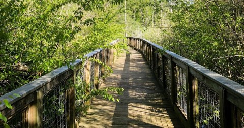 Enjoy A Long Walk At This Underrated Wildlife Refuge In Arkansas