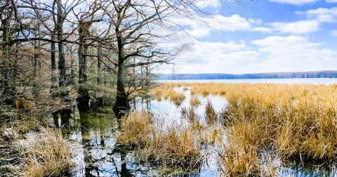 The Stunning Landscape In Arkansas That Appears As Though It Was Ripped From A Painting