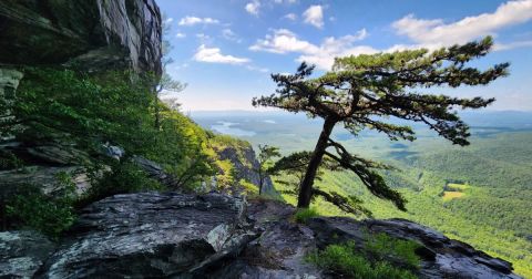 This Incredible Lookout In North Carolina Is So Worth The Hike It Takes To Get There