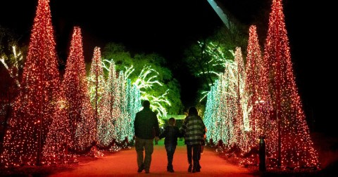 7 Christmas Light Displays In Northern California That Are Pure Holiday Magic