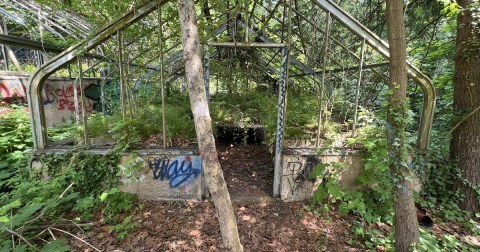 The Incredible Hike In New York That Leads To Fascinating Abandoned Greenhouses