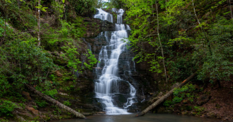 The Under-The-Radar Scenic Drive In South Carolina That Showcases Waterfalls, Creeks, And Orchards