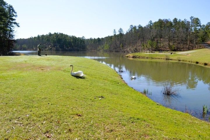 botanical garden in Little Rock