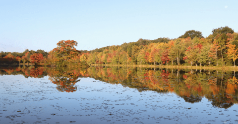 Exploring This State Park In Pennsylvania Is The Definition Of An Underrated Adventure