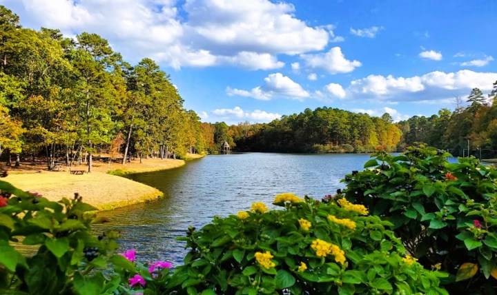 botanical garden in Little Rock