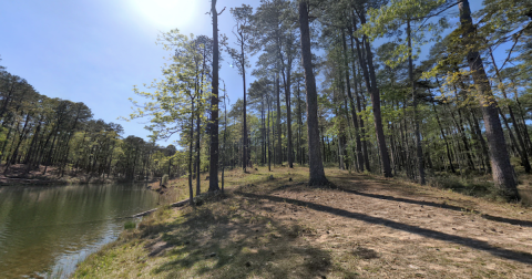 This Little-Known Trail Is Quite Possibly The Best Biking And Horseback Riding Path In Louisiana