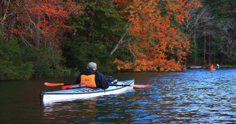 The Underrated State Park In Mississippi Where You Can Water Ski, Fish, And Kayak