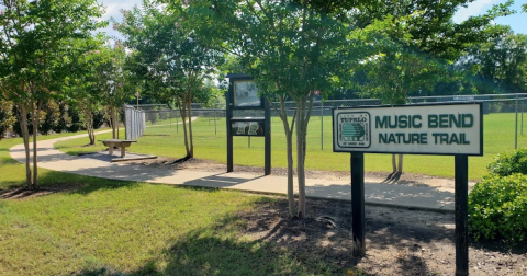 This Little-Known Trail Is Quite Possibly The Best Walking Path In Mississippi