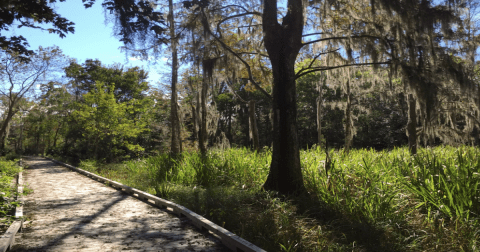 Enjoy A Long Walk At This Underrated Spot In Mississippi