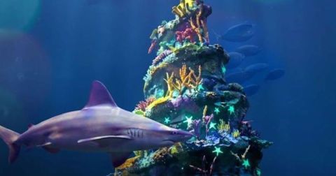 Get A Photo Of A Scuba Diving Santa At This Aquarium In New Jersey