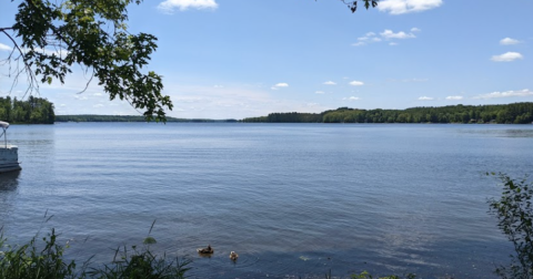 This Lesser-Known Lake Is Perfect For Easy Fishing, Kayaking, Canoeing, And Bird Watching In Maine