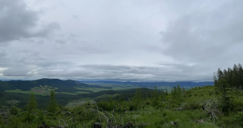 Enjoy A Long Walk At This Underrated State Park In Idaho