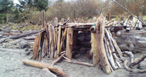 Build A Structure Out Of Sticks Or Enjoy One Another Group Made At This Gorgeous Washington Beach