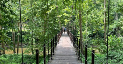 There Is A Unique Man-Made Wonder Hiding In This State Park In Maryland