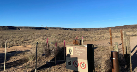 The 2-Mile Trail In New Mexico That Leads To Extraordinary Petroglyphs